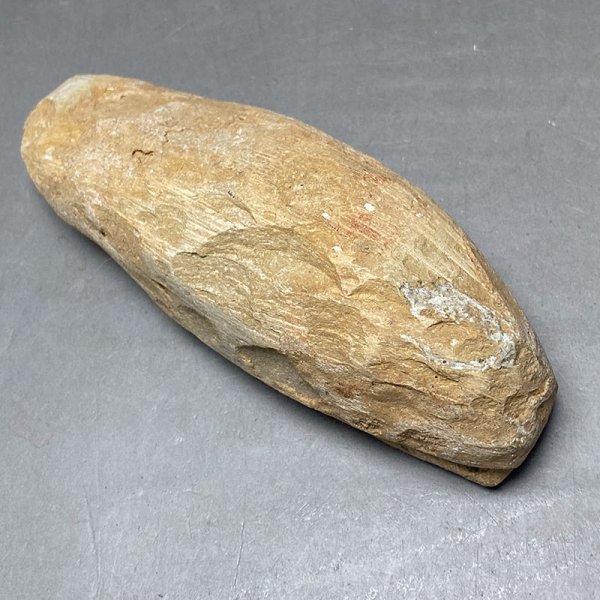 画像2: カライワシ魚化石ラコレピス iw241021a09k (2)