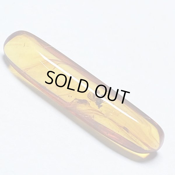 画像3: 虫入り琥珀アンバーInsects in Amberリトアニア産Balttic Sea iw241212a08 (3)