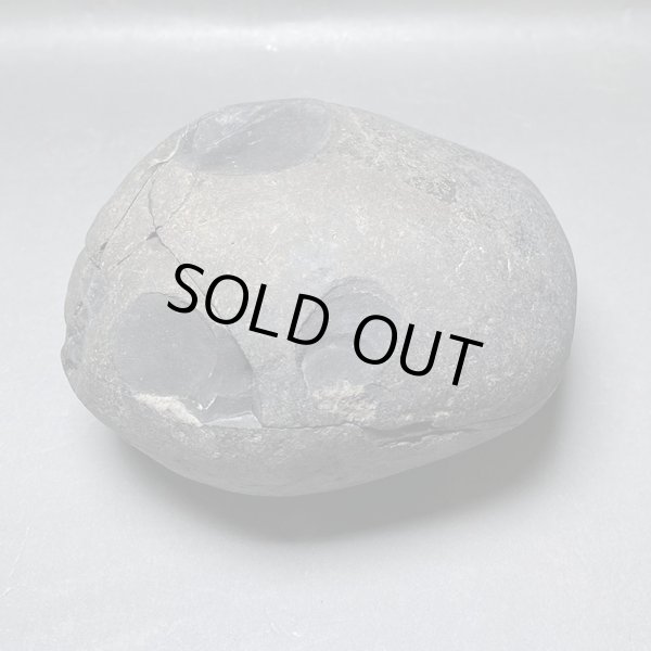 画像8: 大きな神の石聖蛇石ヒマヤランアンモナイトジュラ紀iw241214a01k (8)