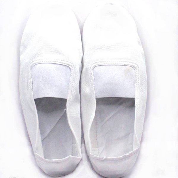 画像1: カンフー＆太極拳シューズ白(スエード底・布靴)　35号〜45号 (1)