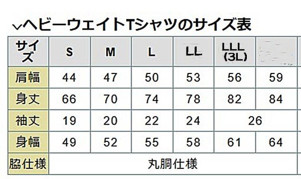 画像7: 大人用 二十四式太極拳演武 パンダTシャツ 白色 【日本製で再登場】 (7)