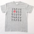 画像1: 大人用 二十四式太極拳演武 パンダTシャツ 灰色 グレー色 【日本製で再登場】 (1)