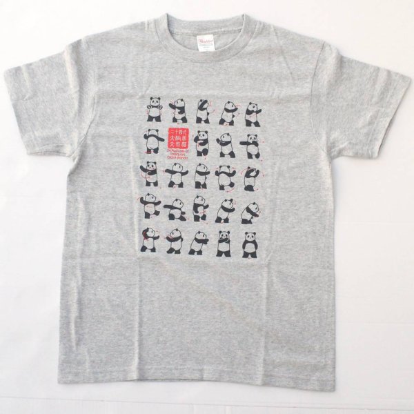 画像1: 大人用 二十四式太極拳演武 パンダTシャツ 灰色 グレー色 【日本製で再登場】 (1)