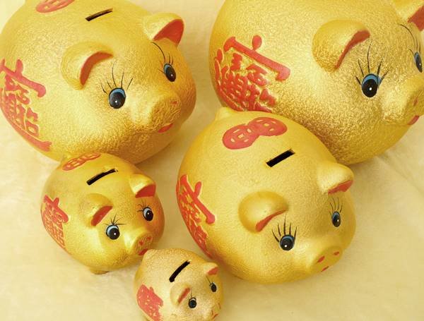 画像5: 横浜中華街名物・金運を呼び込む金ブタ招財貯金箱  16インチ (5)