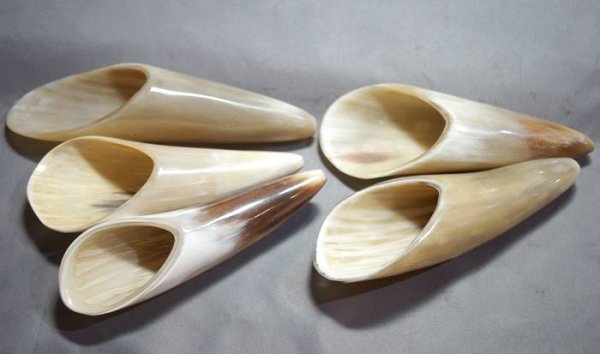 画像1: 水牛の角製　茶則 茶さじ 茶量（ちゃりょう） (1)