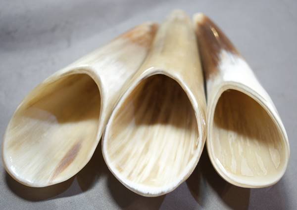 画像2: 水牛の角製　茶則 茶さじ 茶量（ちゃりょう） (2)
