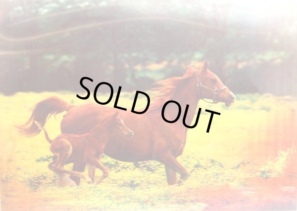 画像1: 中華・立体3Dポスター「駿馬」 (1)