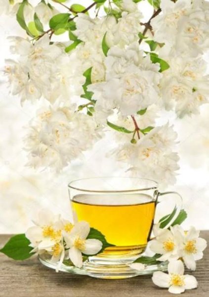 画像4: 中国茶 ジャスミン茶 茉莉花茶 100g (4)