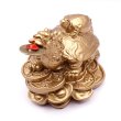 画像1: 樹脂製 金龍亀 ロングイ 置物 2404003 (1)